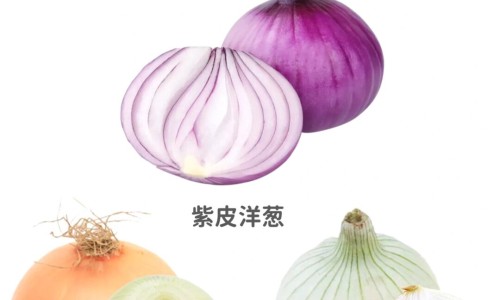 【肾结石诱因有哪些】有肾结石是什么症状 - 有肾结石会有哪些症状网